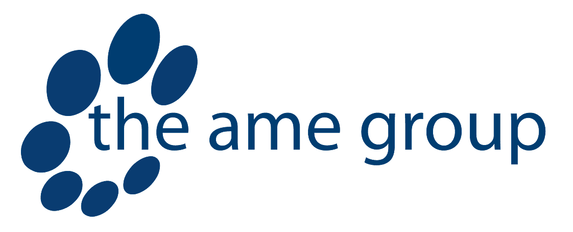The AME Group