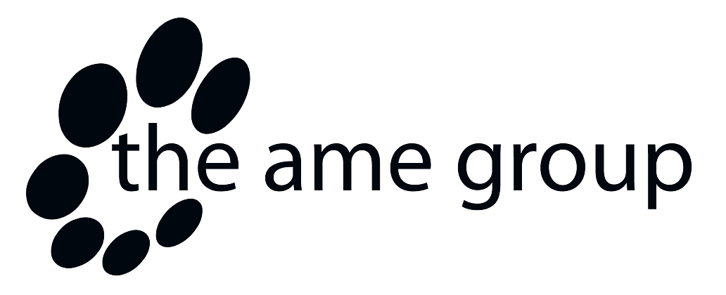 The AME Group
